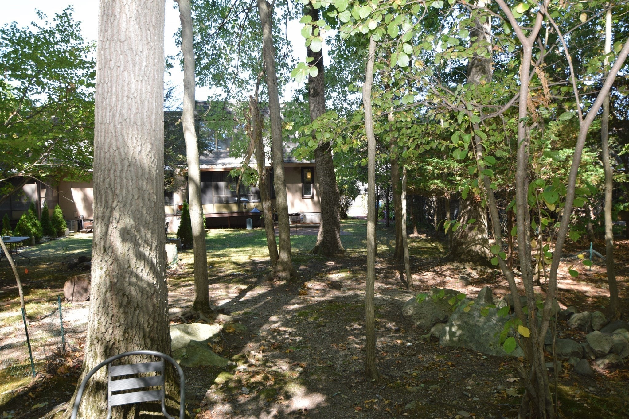 14 Grove Sq #14, Randolph, MA Photo #38