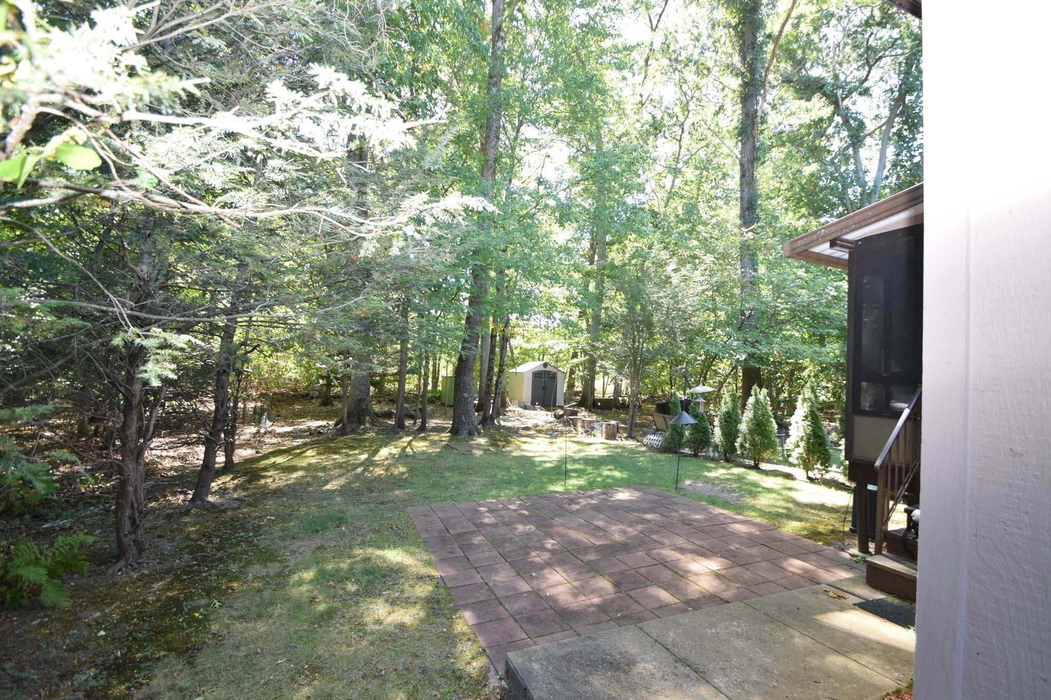 14 Grove Sq #14, Randolph, MA Photo #36
