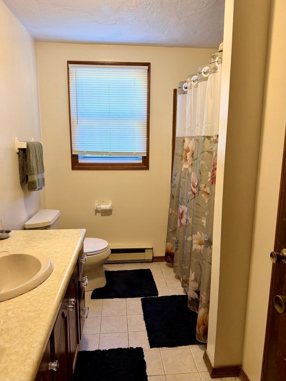27 Tiffany Cir #27, Millbury, MA, 27 Tiffany Cir #27, Millbury, MA Photo #8