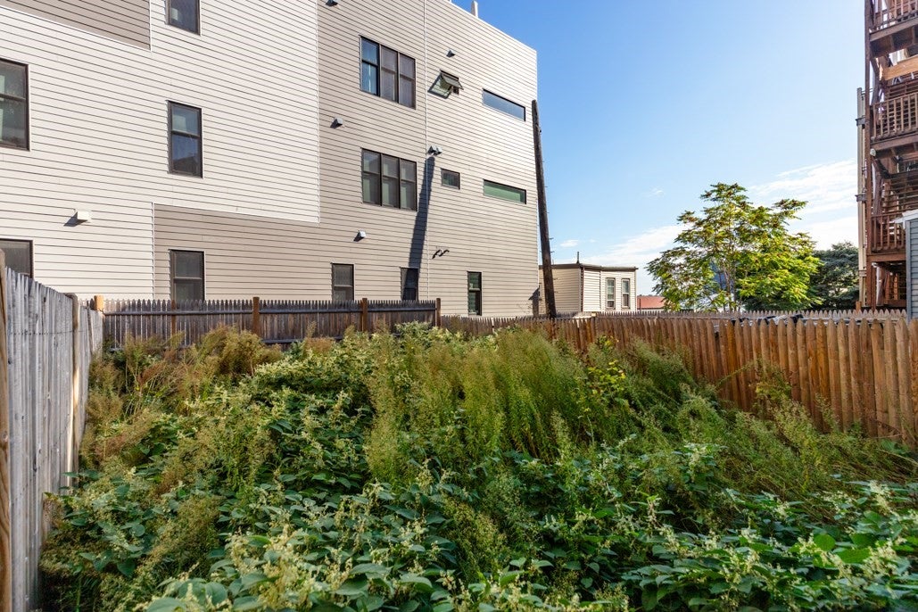 150 Falcon St, Boston, MA, 150 Falcon St, Boston, MA Photo #21