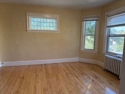 2 Shirley St, Worcester, MA, 2 Shirley St, Worcester, MA Photo #19