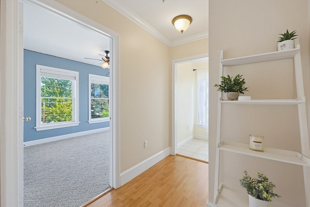 24 S Bulfinch St #201, North Attleboro, MA, 24 S Bulfinch St #201, North Attleboro, MA Photo #6