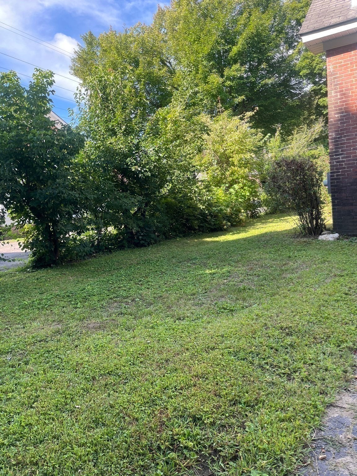46 Walnut Street, Montague, MA, 46 Walnut Street, Montague, MA Photo #38
