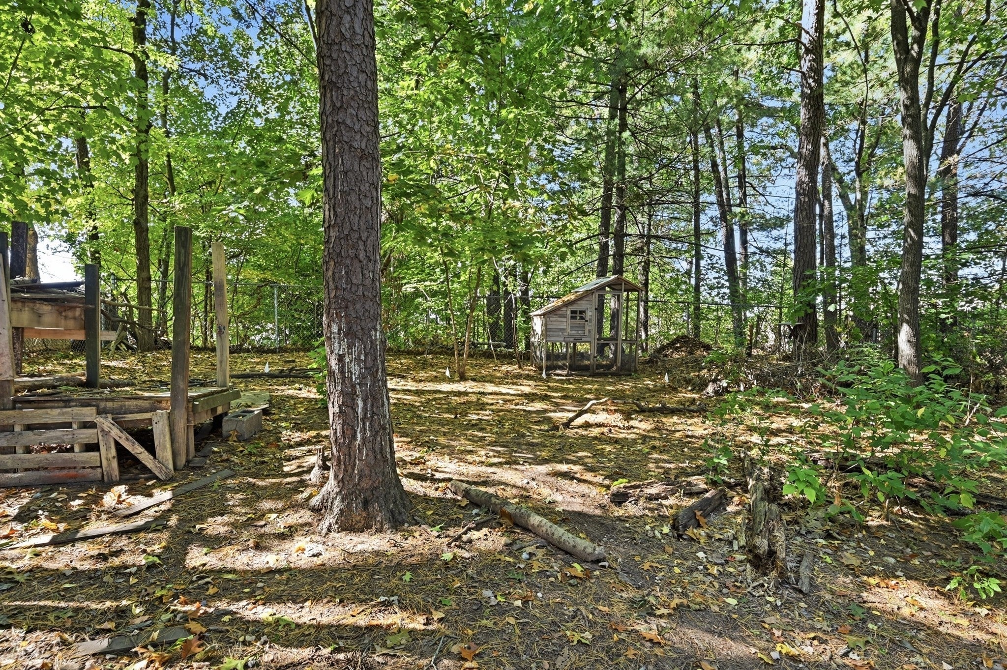 39 Birchwood Rd, Southwick, MA, 39 Birchwood Rd, Southwick, MA Photo #26