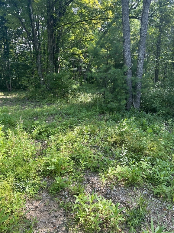 122 Vinton Road