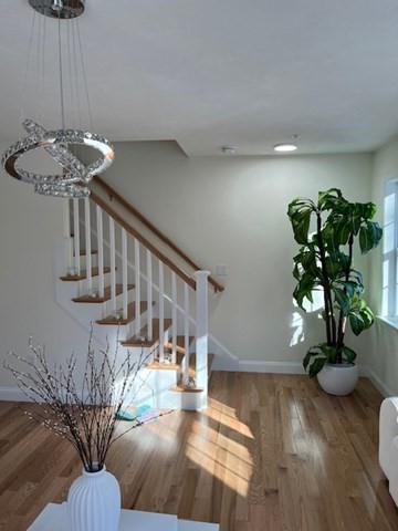 35 Fredonian St K