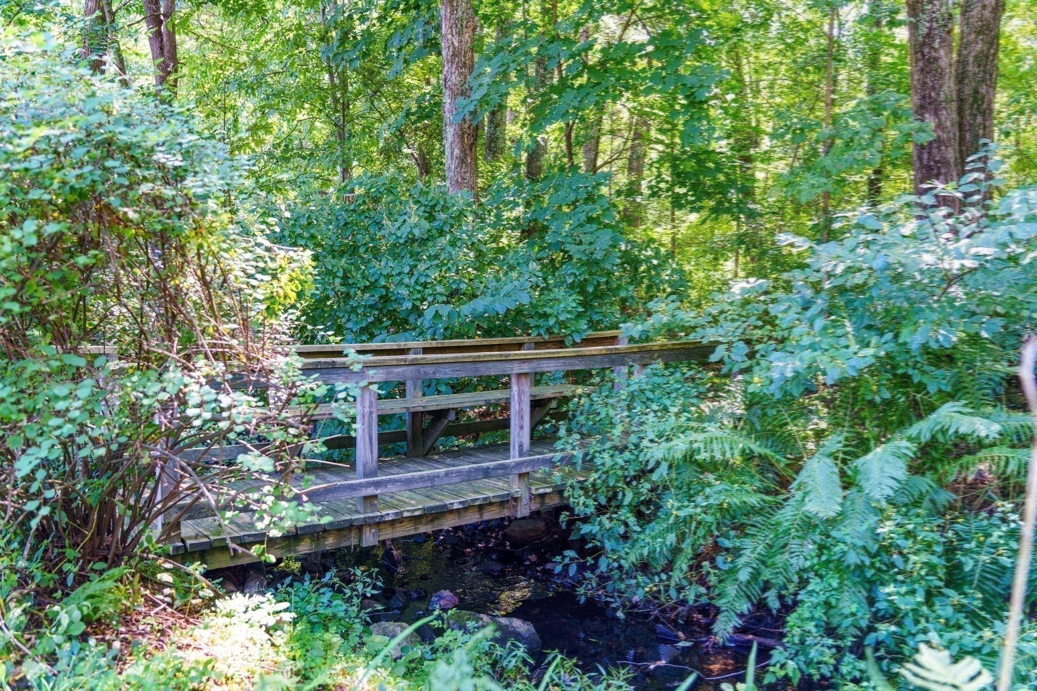 12 Clarridge Circle, Milford, MA Photo #35