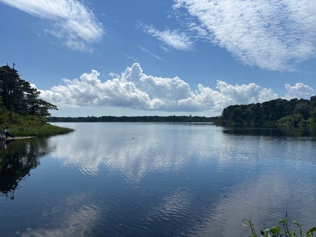 455 Kingsbury Beach Rd, Eastham, MA Photo #18