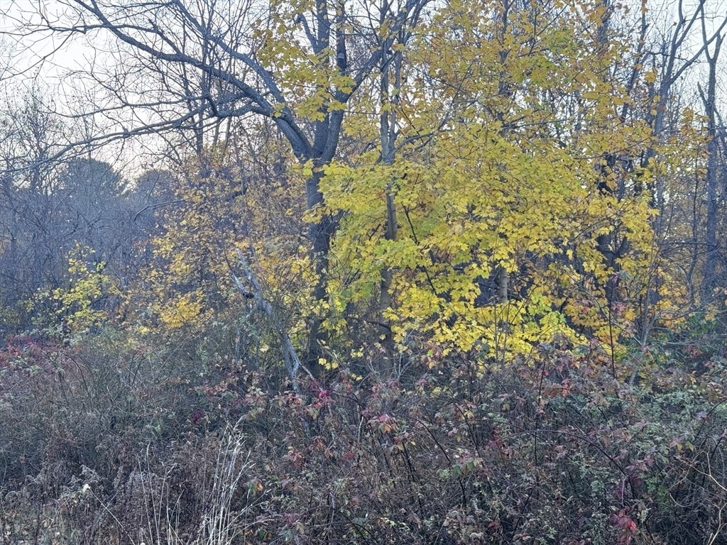 Lot 9 Lawler Ln