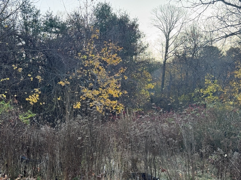 Lot 9 Lawler Ln