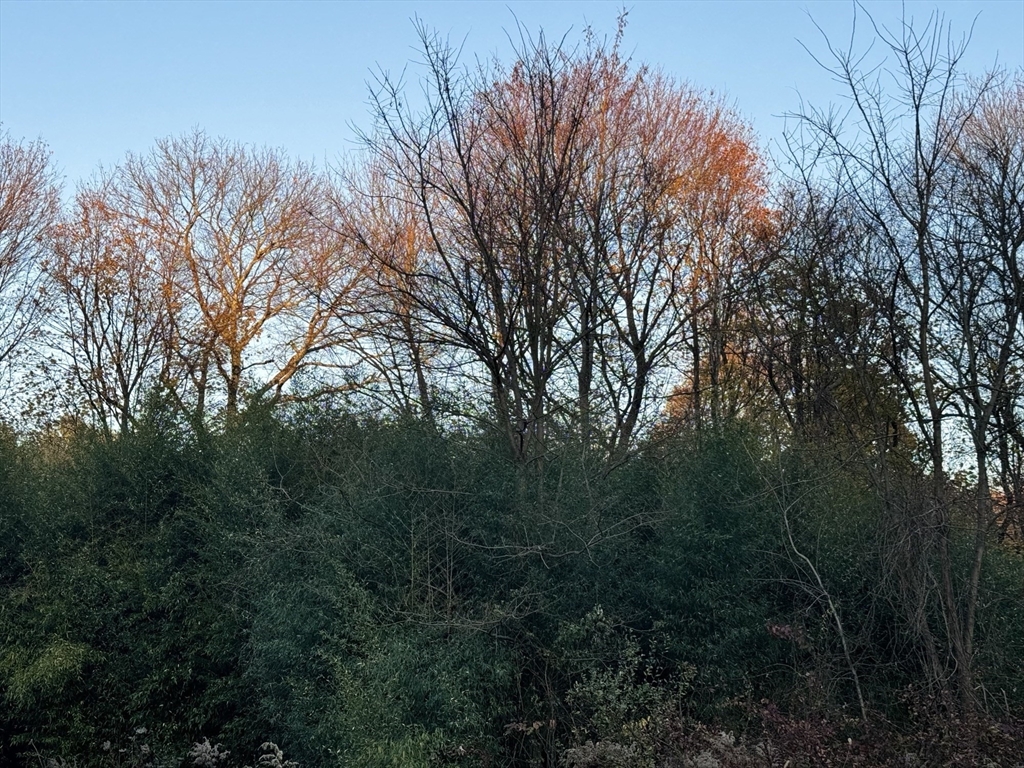 Lot 9 Lawler Ln