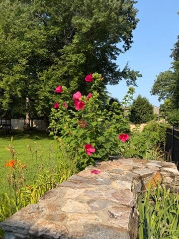 1105 Stony Hill Rd, Wilbraham, MA Photo #42