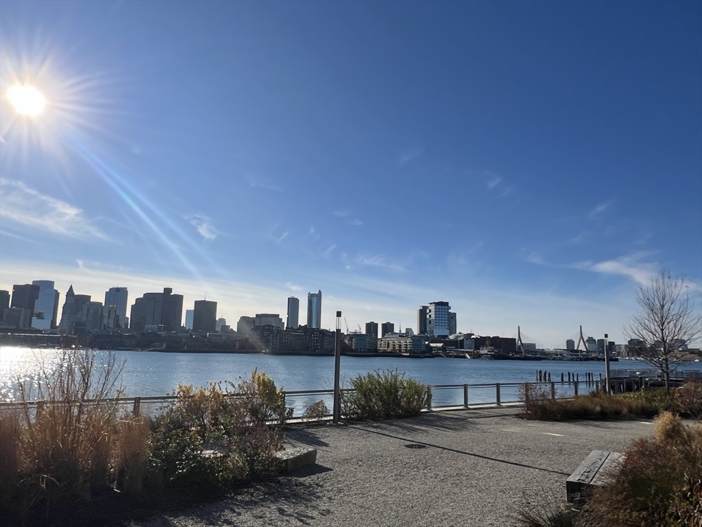 99 Sumner St #503, Boston, MA, 99 Sumner St #503, Boston, MA Photo #18