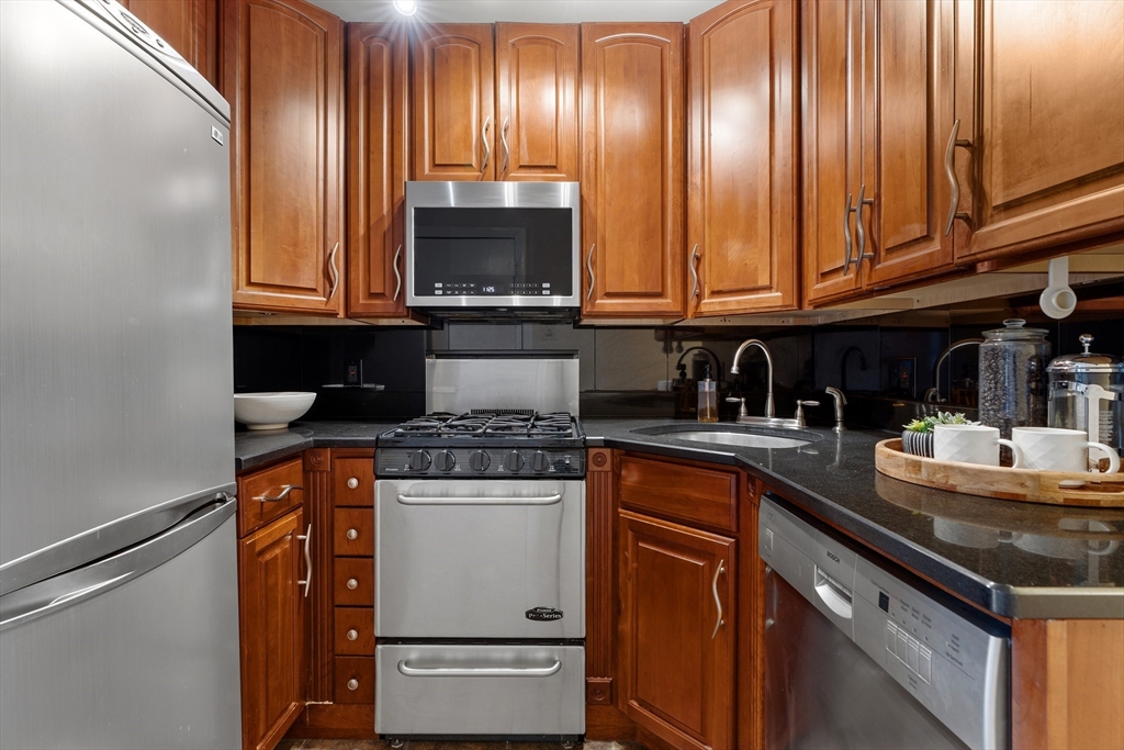 88 W Springfield St #3, Boston, MA Photo #9