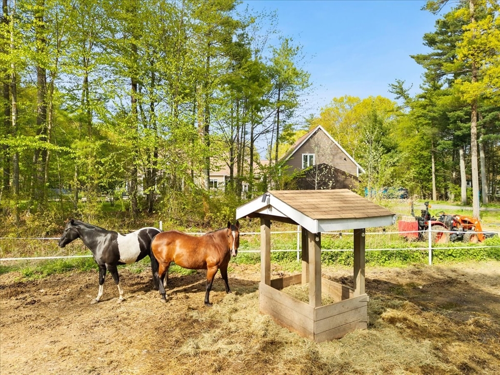 4 Alberta Ln, Lakeville, MA Photo #17