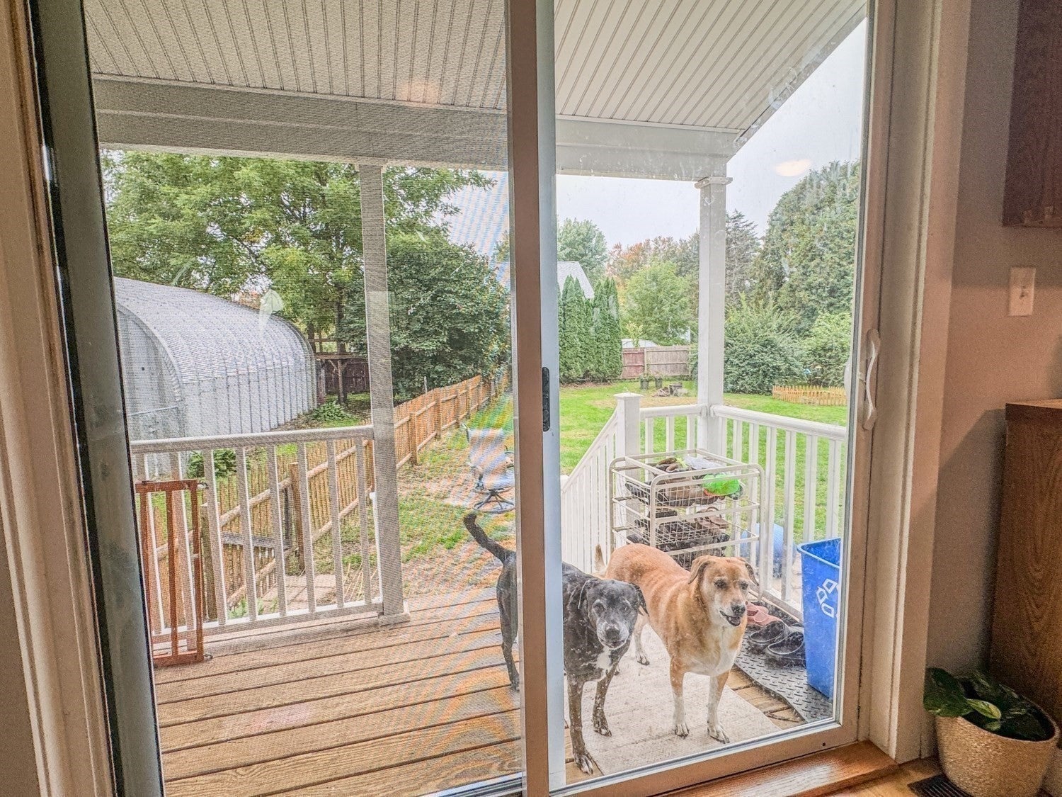 33 Pleasant Street, Deerfield, MA, 33 Pleasant Street, Deerfield, MA Photo #30
