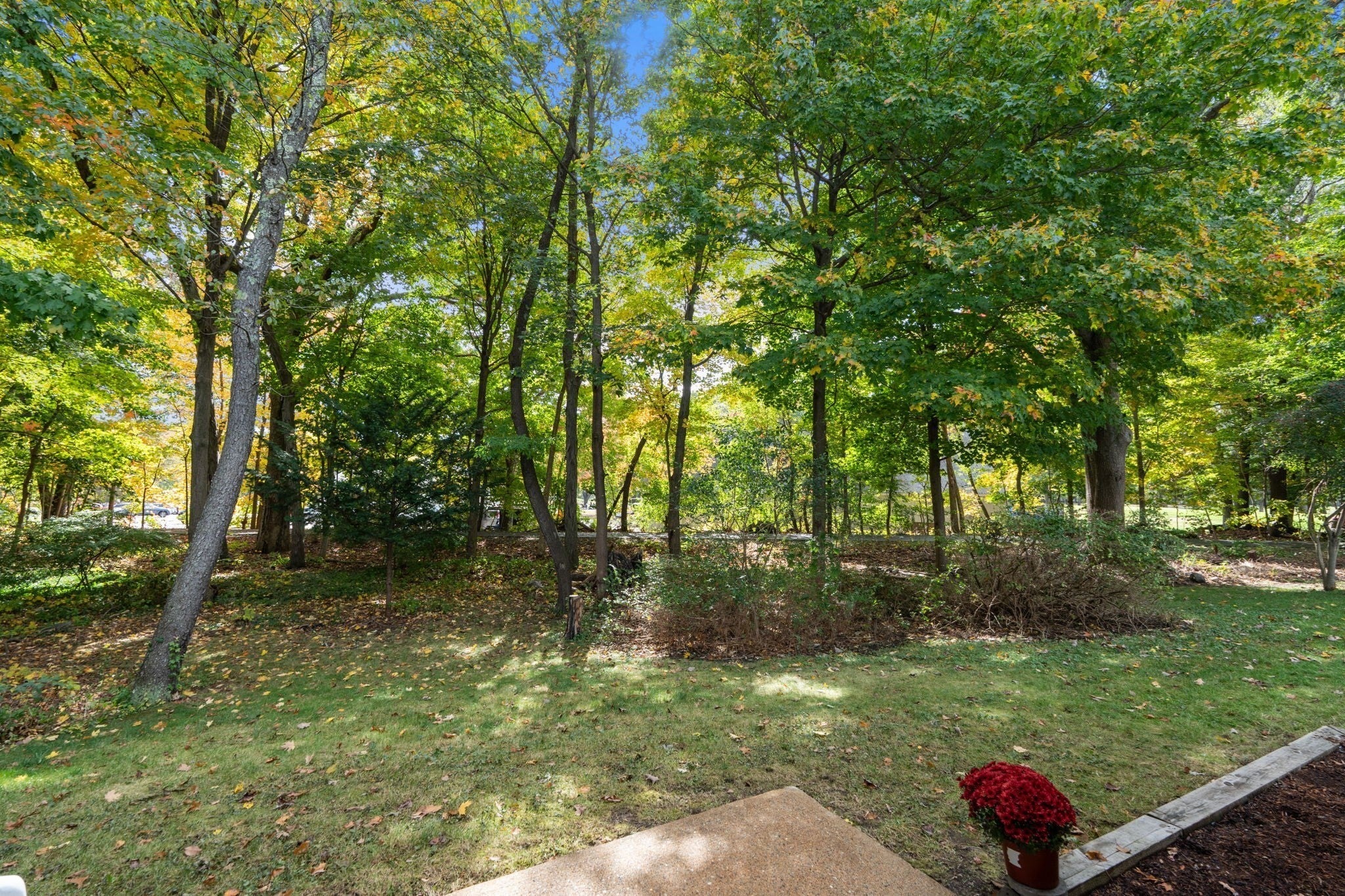 8 Lauren Drive #8, Rockland, MA, 8 Lauren Drive #8, Rockland, MA Photo #29
