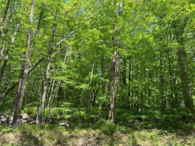 Lot B New Templeton Rd