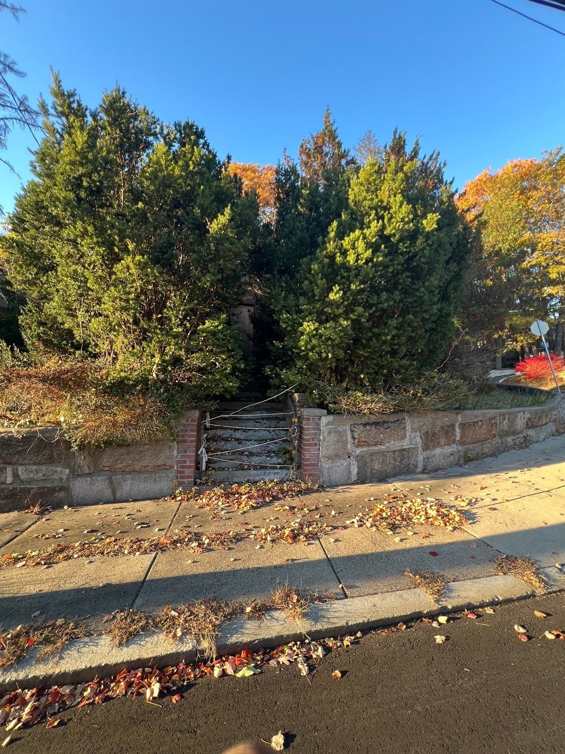 59 Farrar Ave