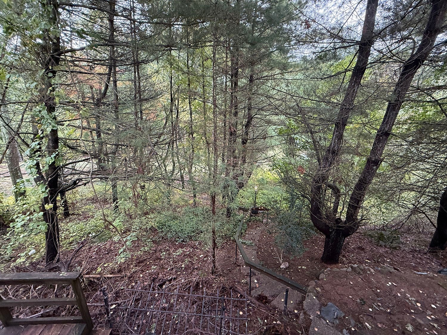 43 Bertine St, Bellingham, MA Photo #26