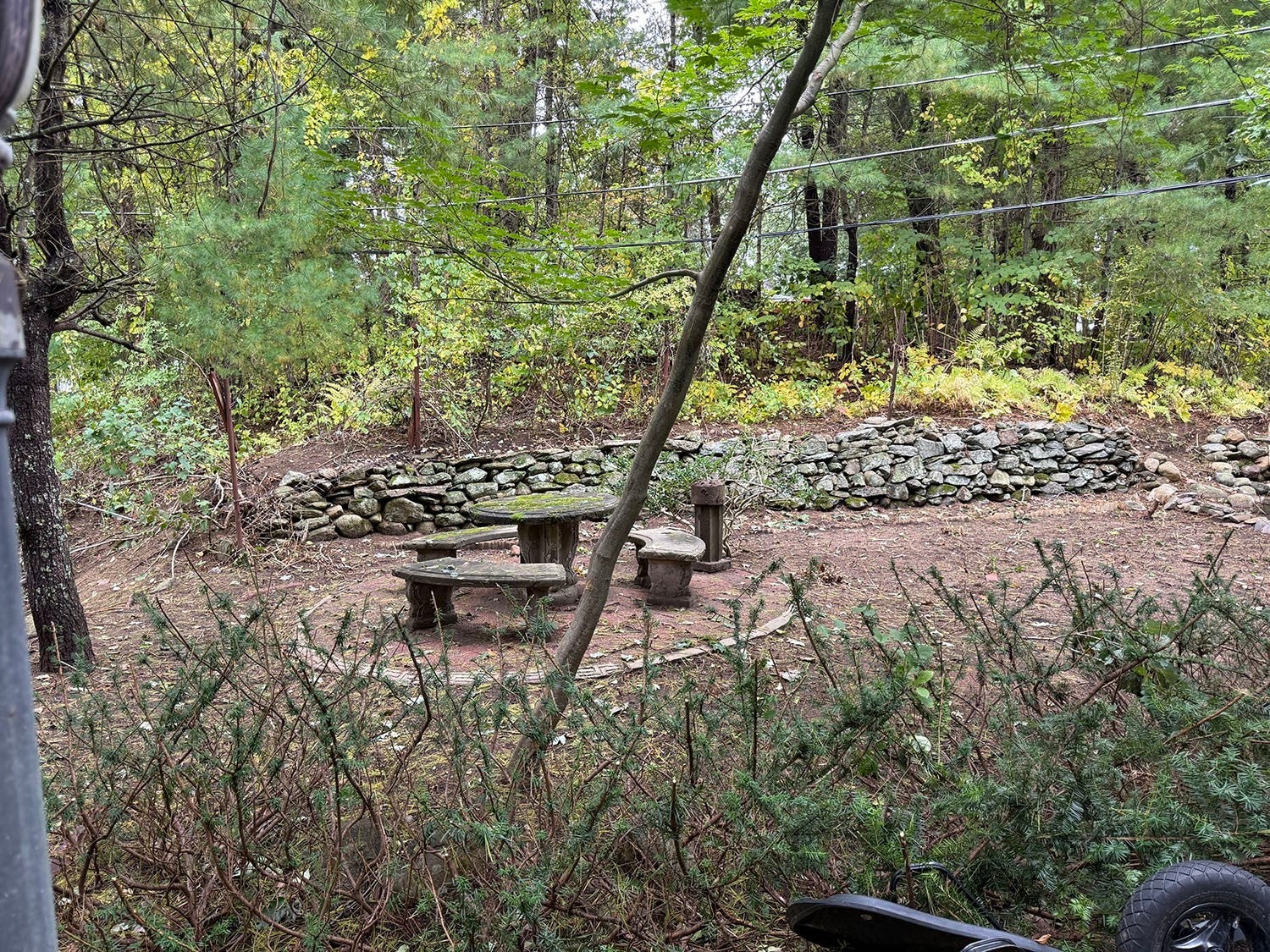 43 Bertine St, Bellingham, MA Photo #34