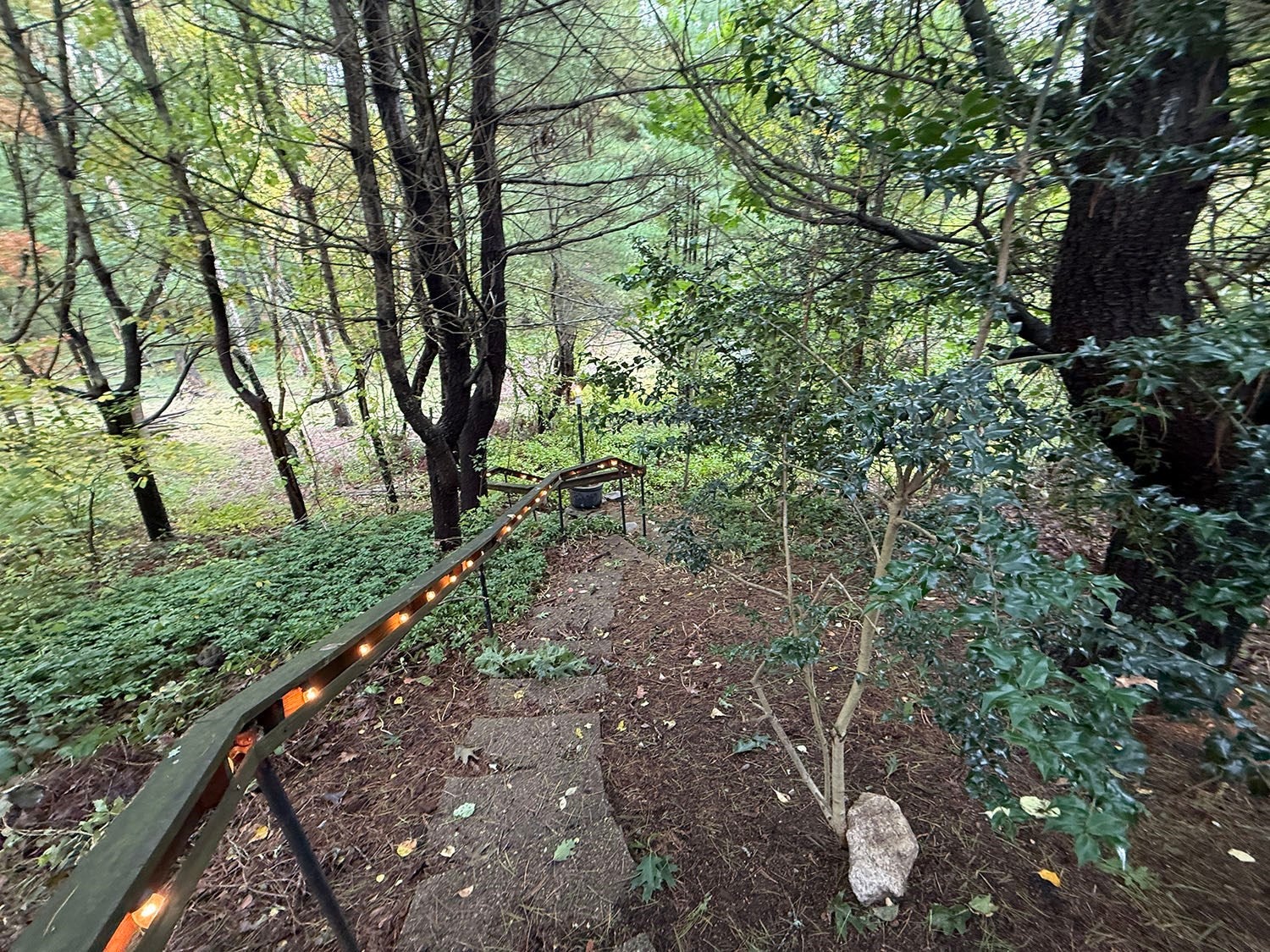 43 Bertine St, Bellingham, MA Photo #38