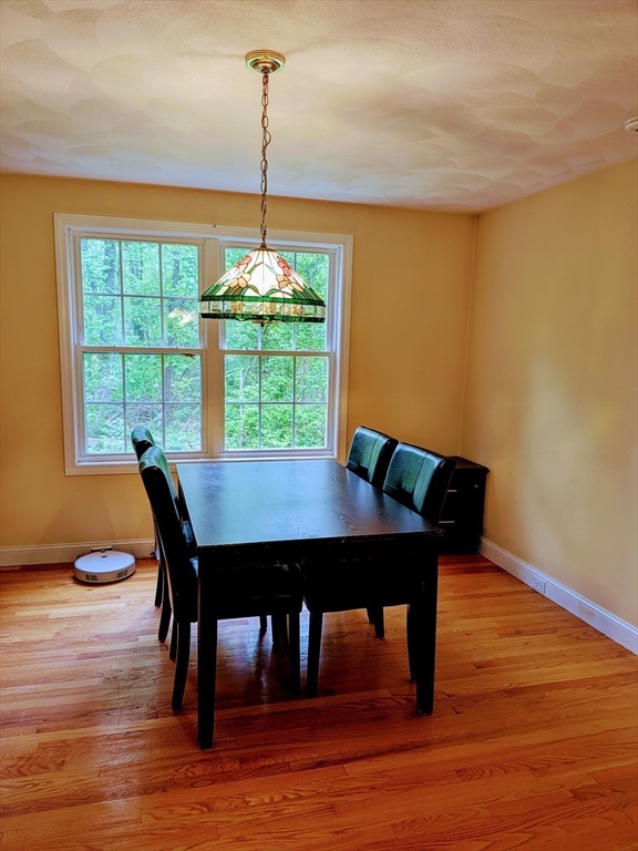 7 Van Norden Rd