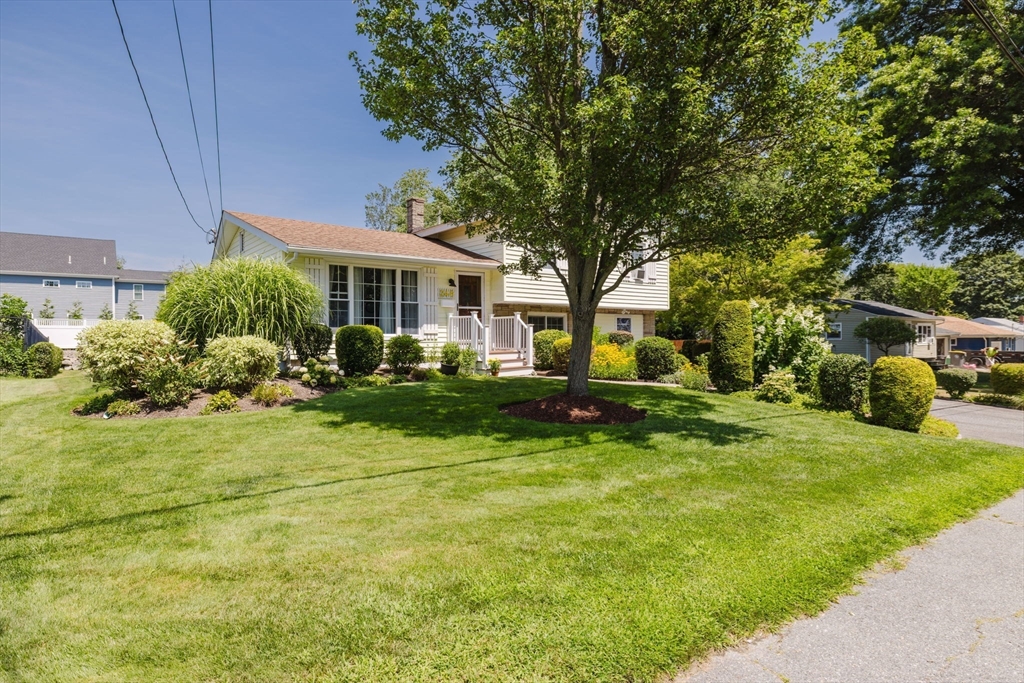 246 Chatterton Ave