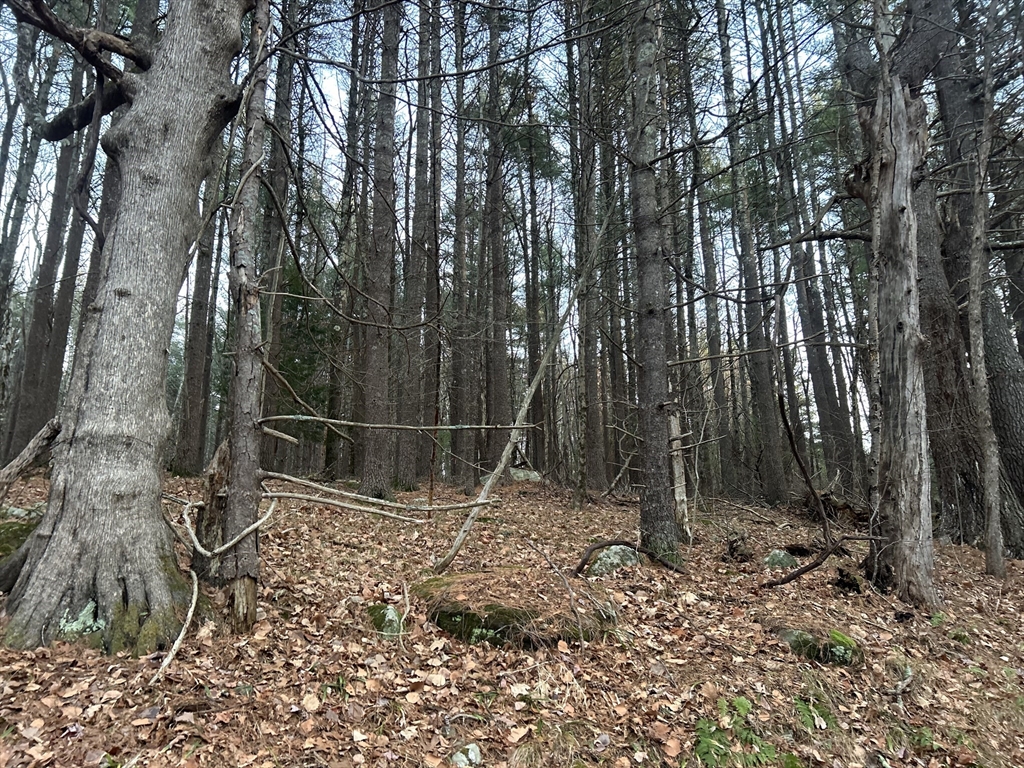 32 South Rd