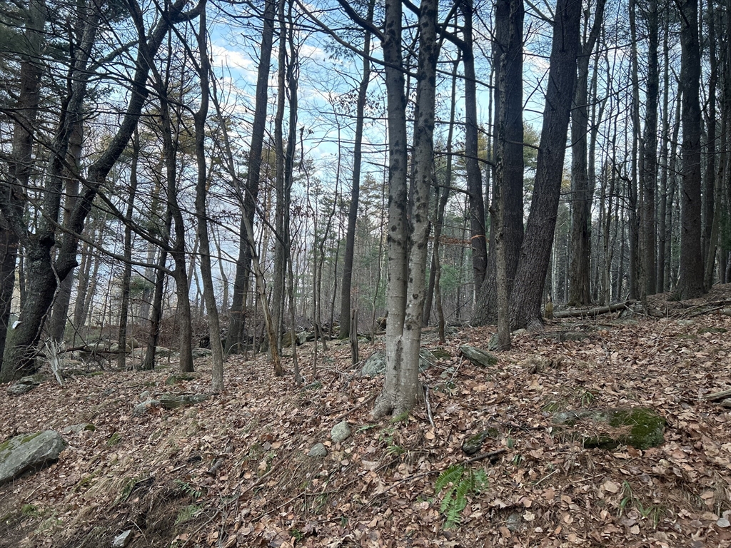 32 South Rd