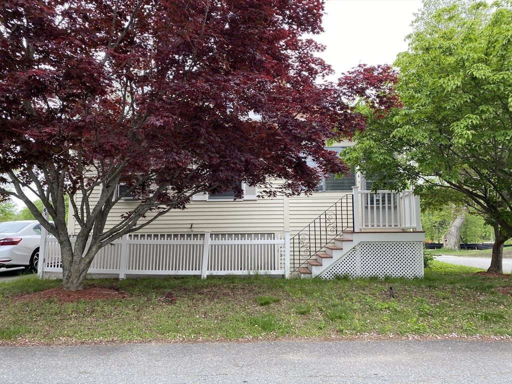 6 Amherst Street