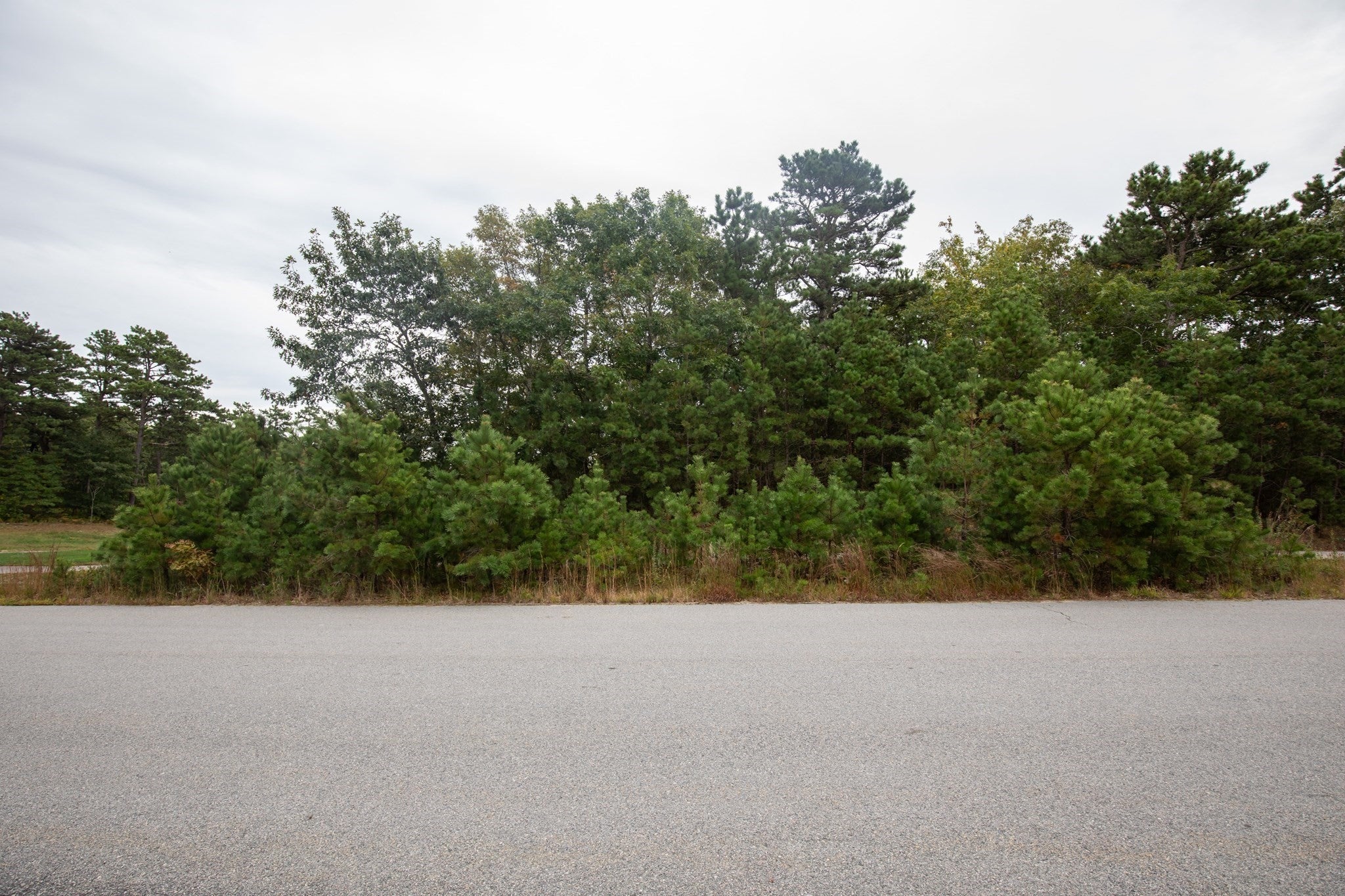 49 Seabiscuit Dr