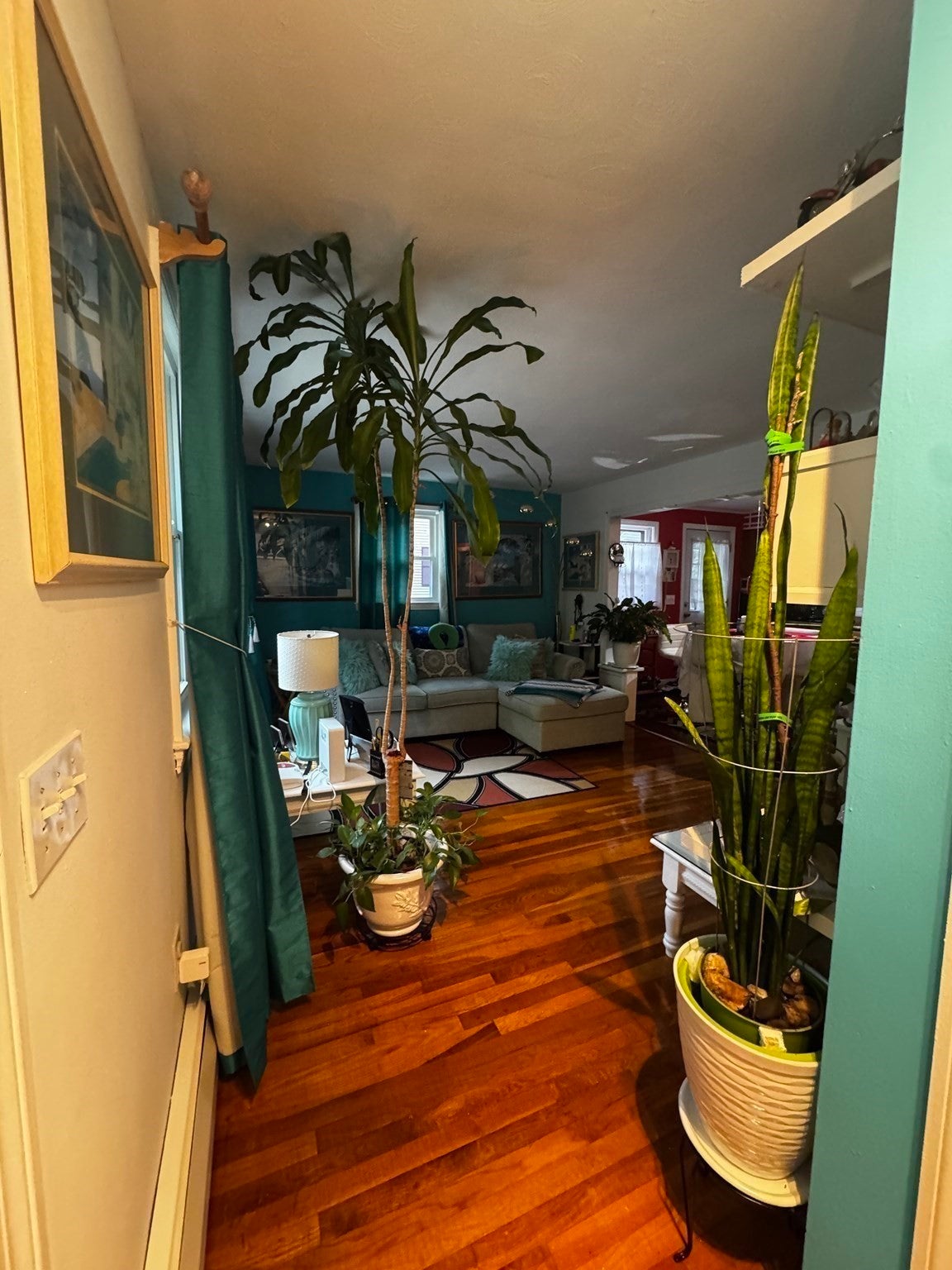 40 Harald St, Worcester, MA Photo #6