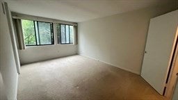 1731 Beacon St #108, Brookline, MA, 1731 Beacon St #108, Brookline, MA Photo #12