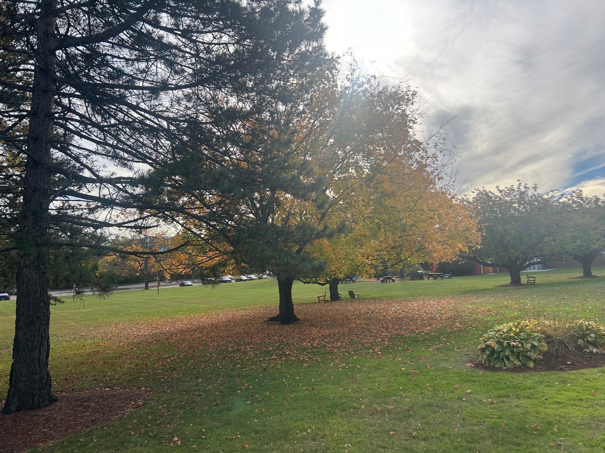 154 Cypress St #154, Watertown, MA, 154 Cypress St #154, Watertown, MA Photo #31
