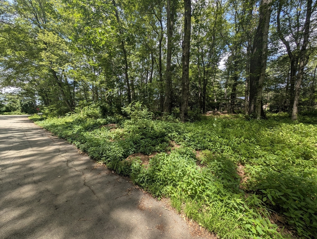181 Dresser Hill Rd + 2 lots