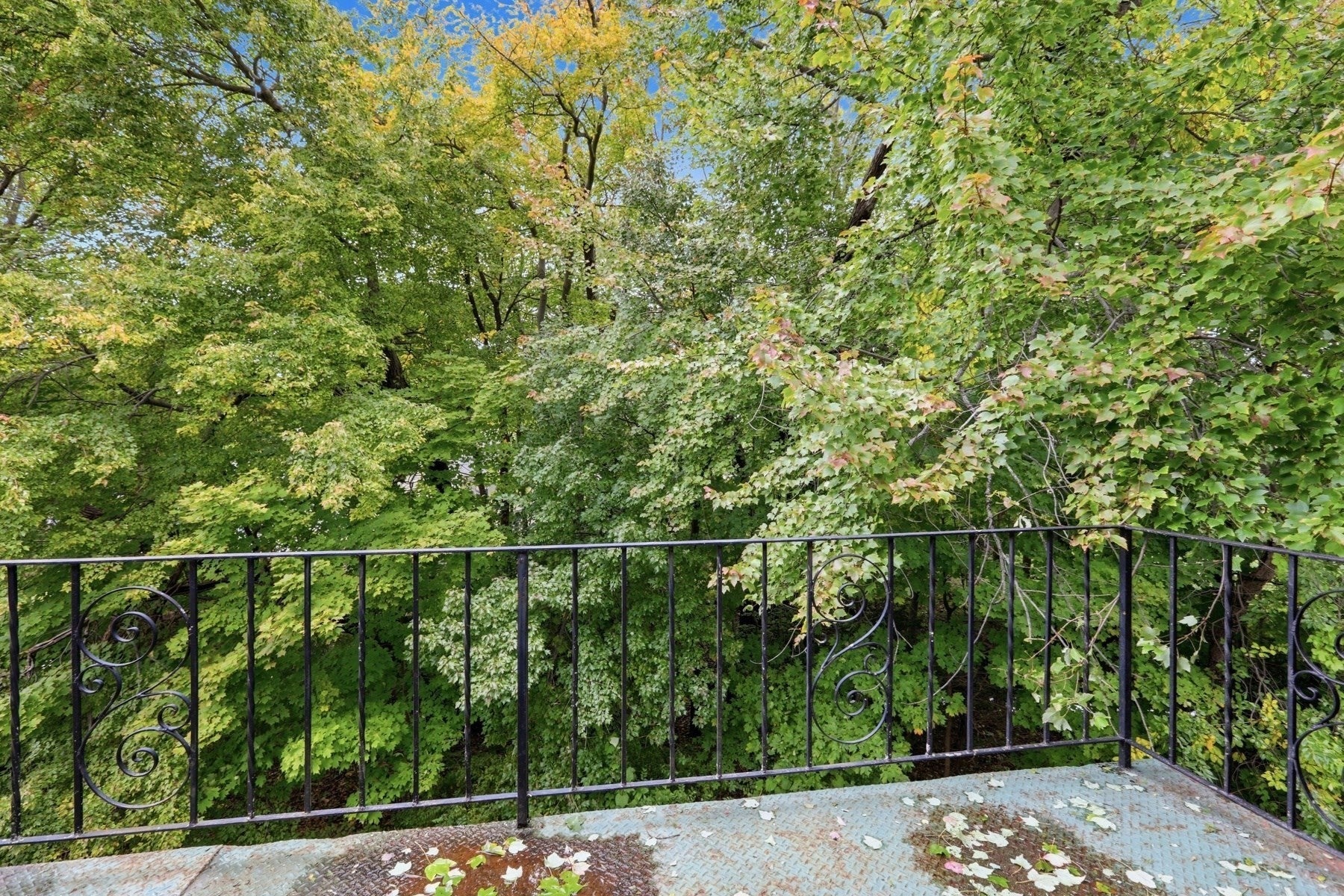 1 Fernview Ave #6, North Andover, MA Photo #14
