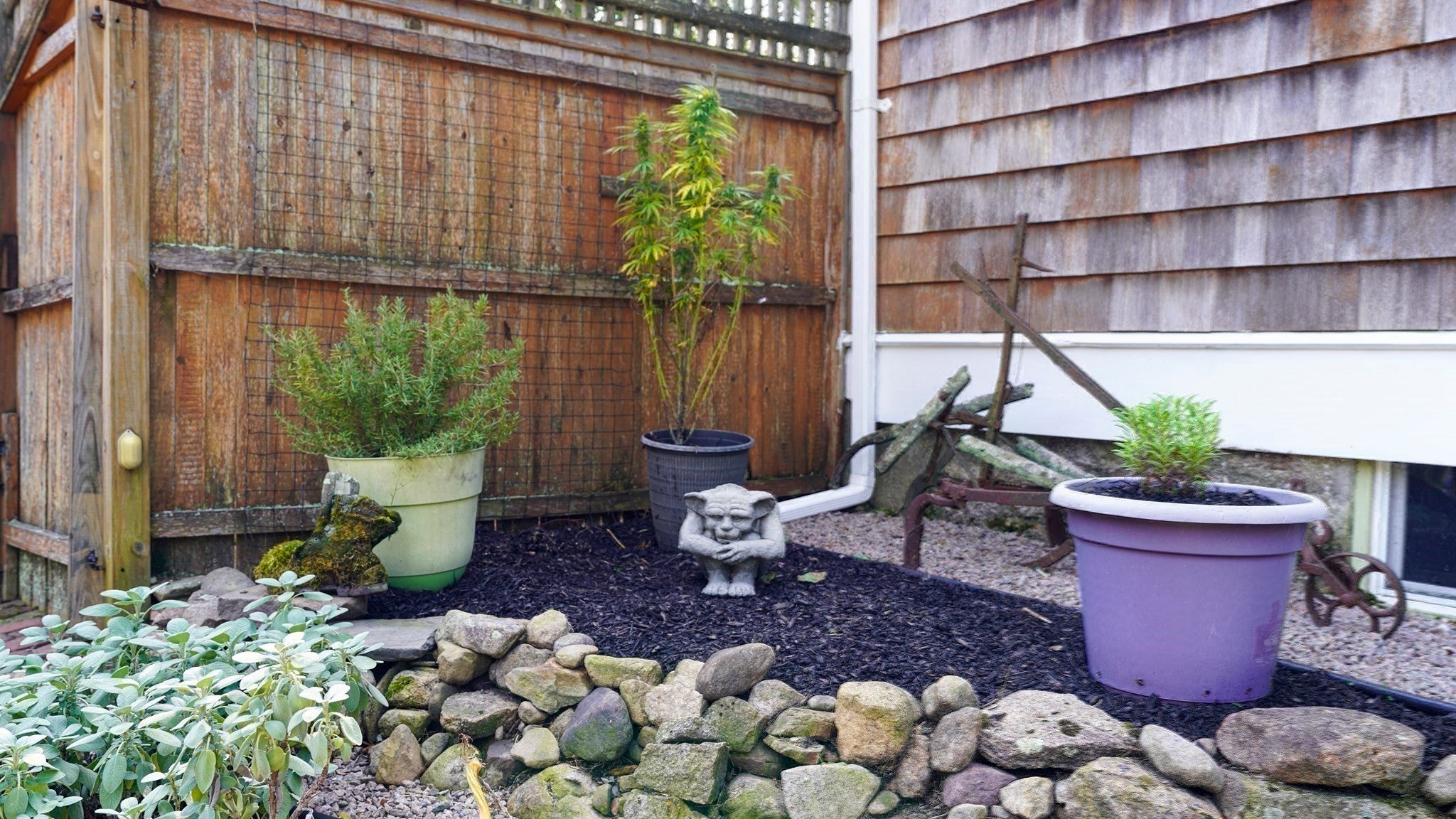 355 Pine St, Holbrook, MA, 355 Pine St, Holbrook, MA Photo #31