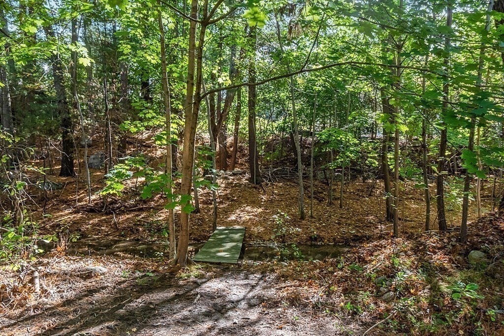 7 Sunnyside Ave, Wellesley, MA, 7 Sunnyside Ave, Wellesley, MA Photo #20