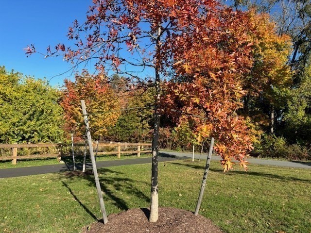 4 Stratton Drive 301