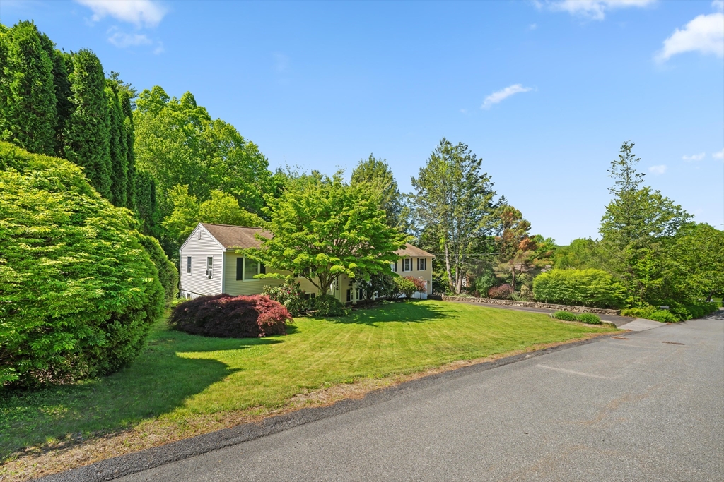 10 Blueberry Ln