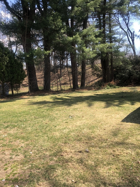 61 Maple Ave