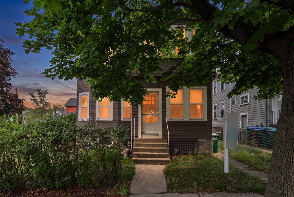 31 Lewis St