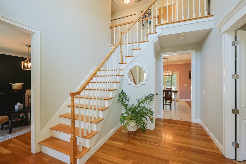 55 Preservation Lane