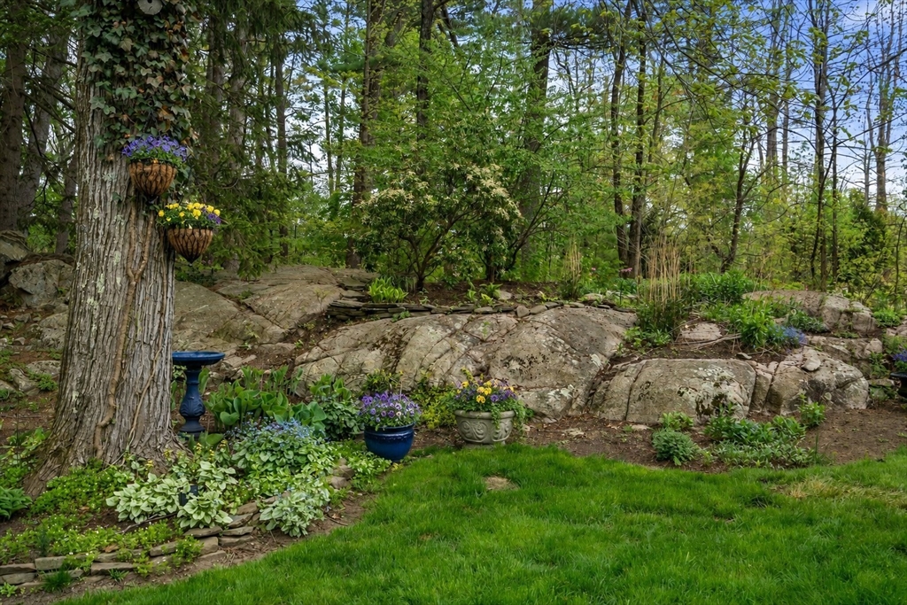 123 Harding Street, Medfield, MA Photo #28