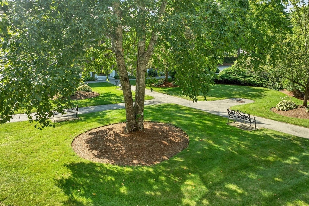 45 Macy Street 207B