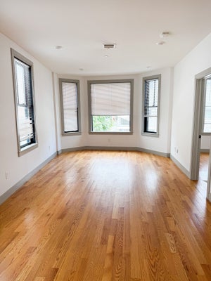 15 MAYWOOD ST APT 2, ROXBURY, MA 02119 - Image 3b66bc4e6cfafa77e4398a2ab2a368b0/2896044628