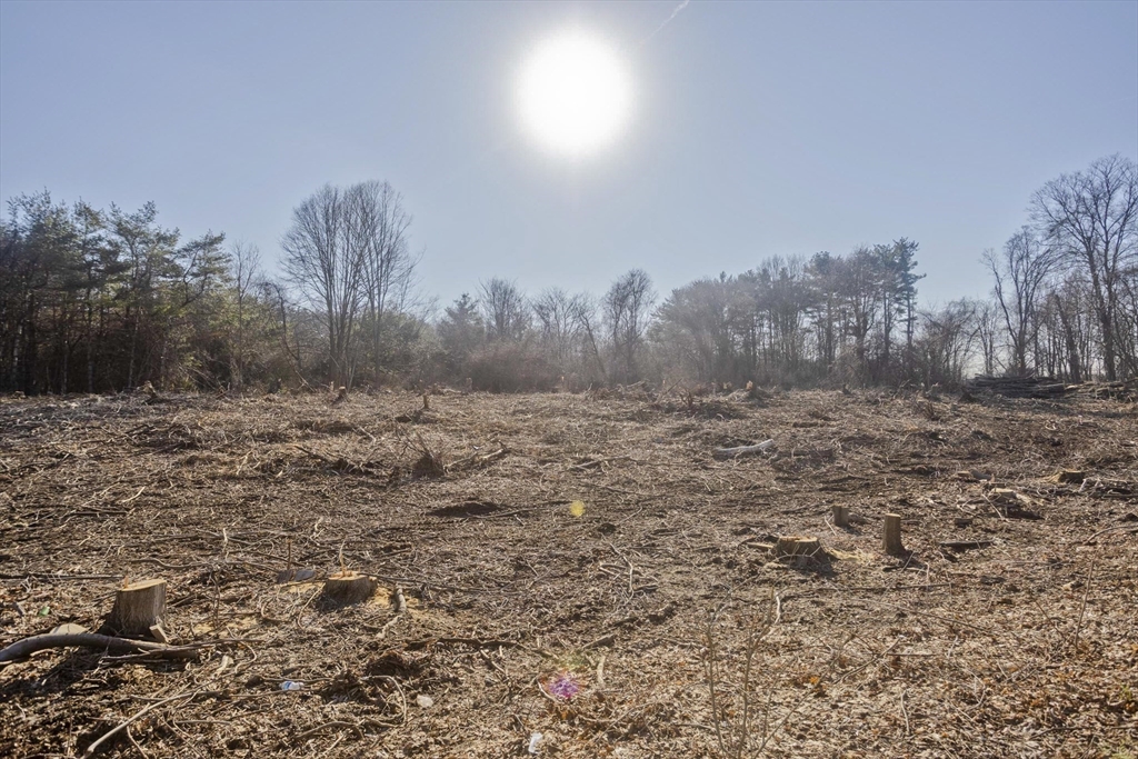 LOT 2 Homestead Avenue