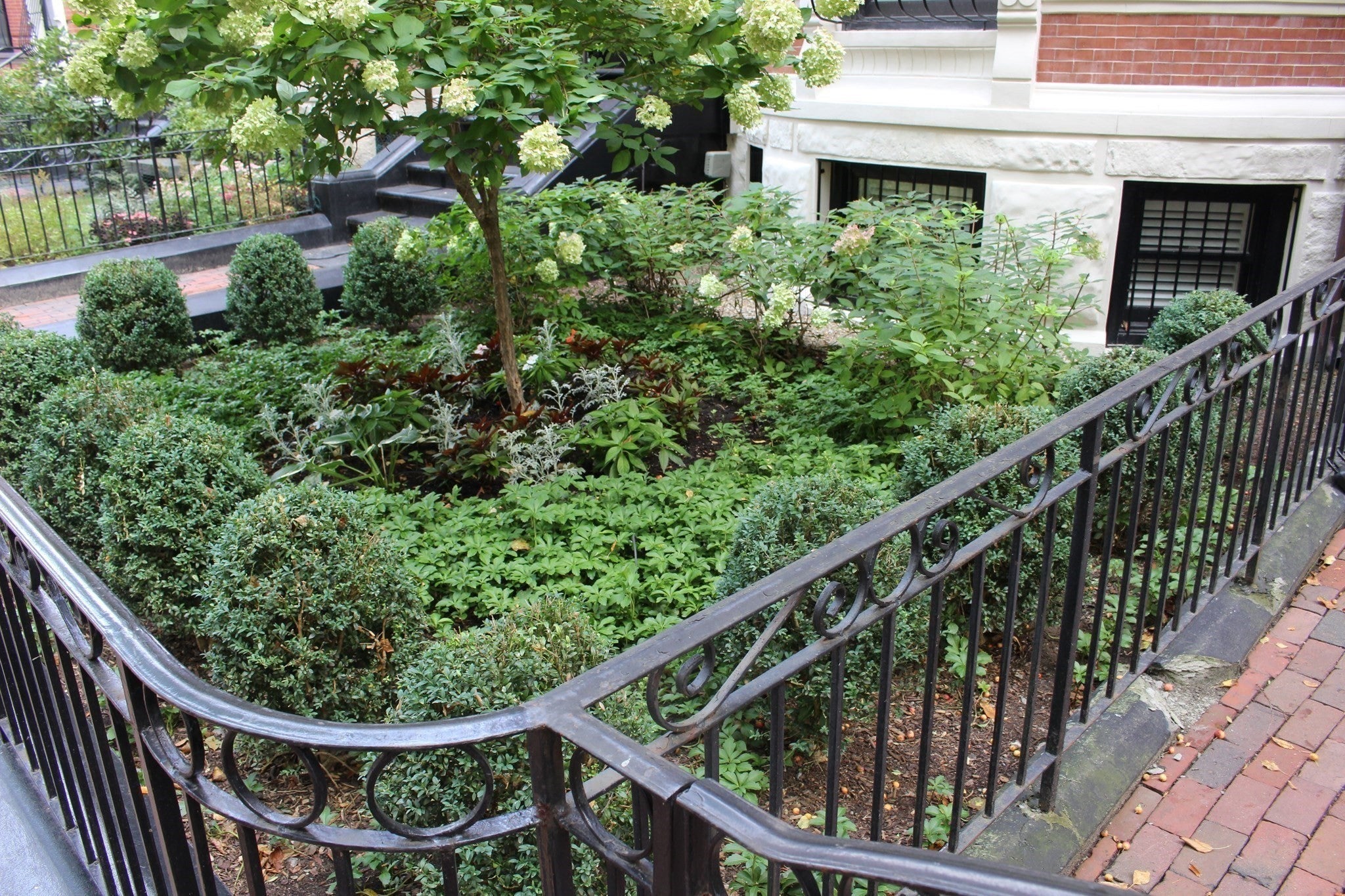 246 Marlborough Street 1