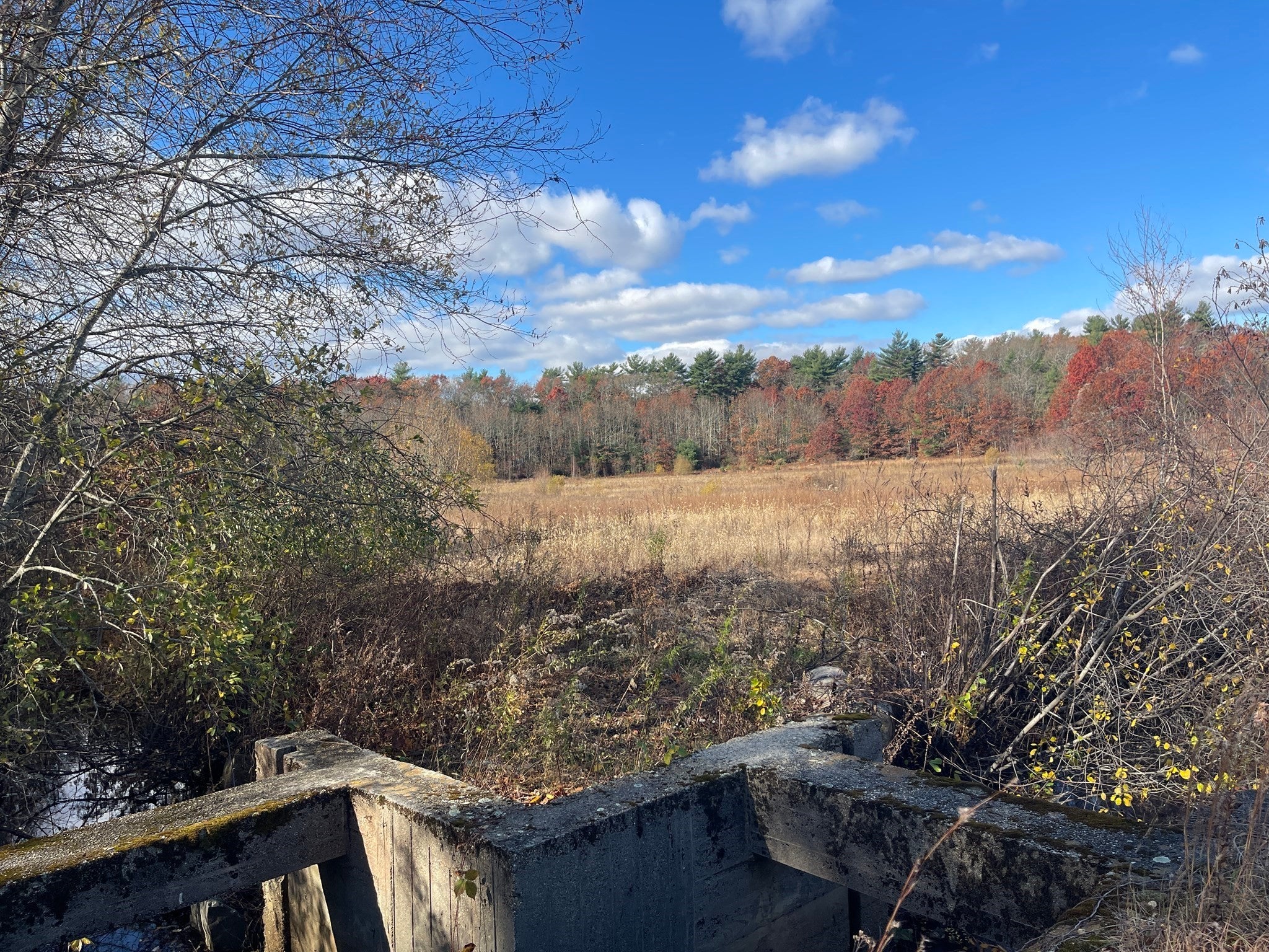 148 Lot 1a Elm Street